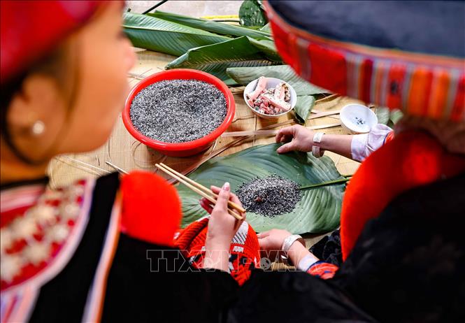 Trong các gia đình người Dao, gói bánh chưng là công việc của phụ nữ. Các bà, các chị vừa gói bánh vừa chỉ bảo cho những người con gái trong nhà học làm theo. Ảnh: Thanh Tùng - TTXVN 